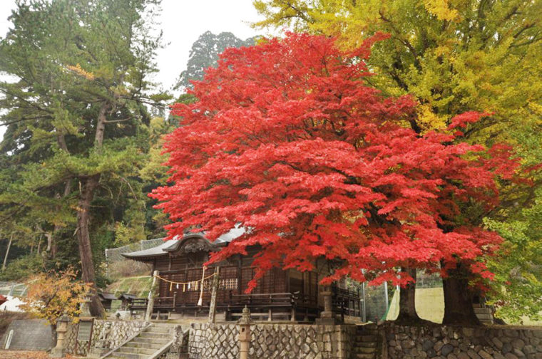 徳山神社の紅葉