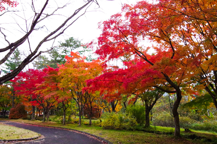 自然牧場公園内の会