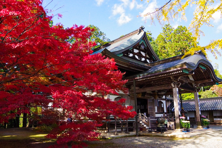 木山寺本殿を横から撮影