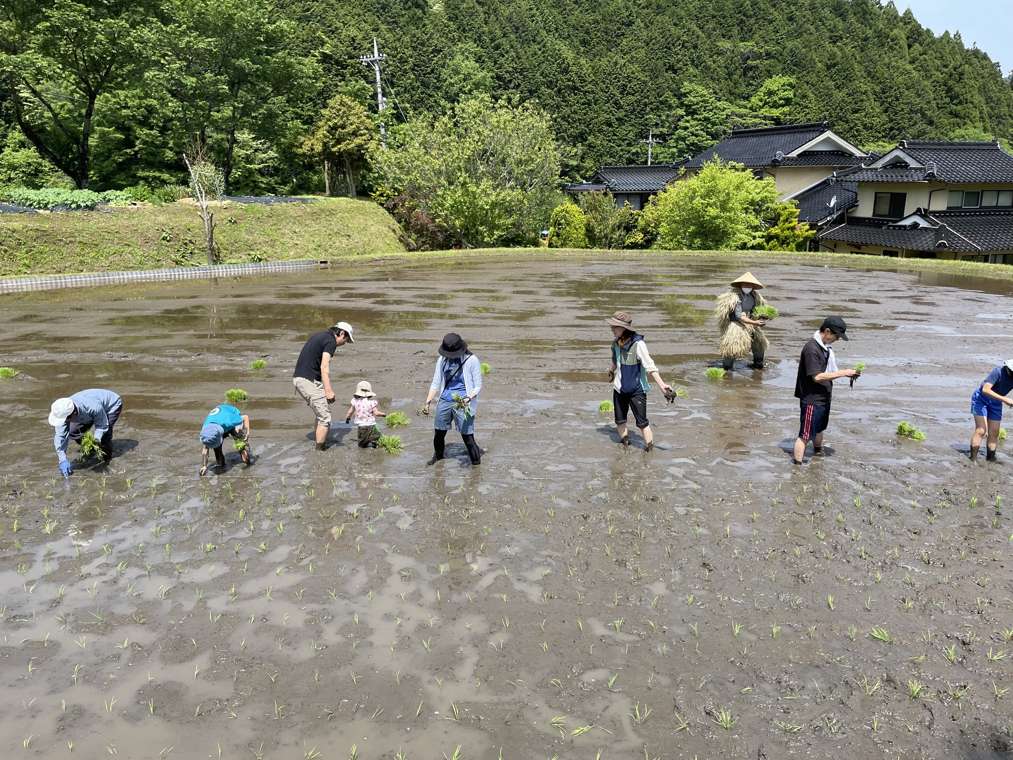 田植え体験中学生 つなぐ棚田遺産 田植え体験｜【申込締切5/15】 | ManiColle