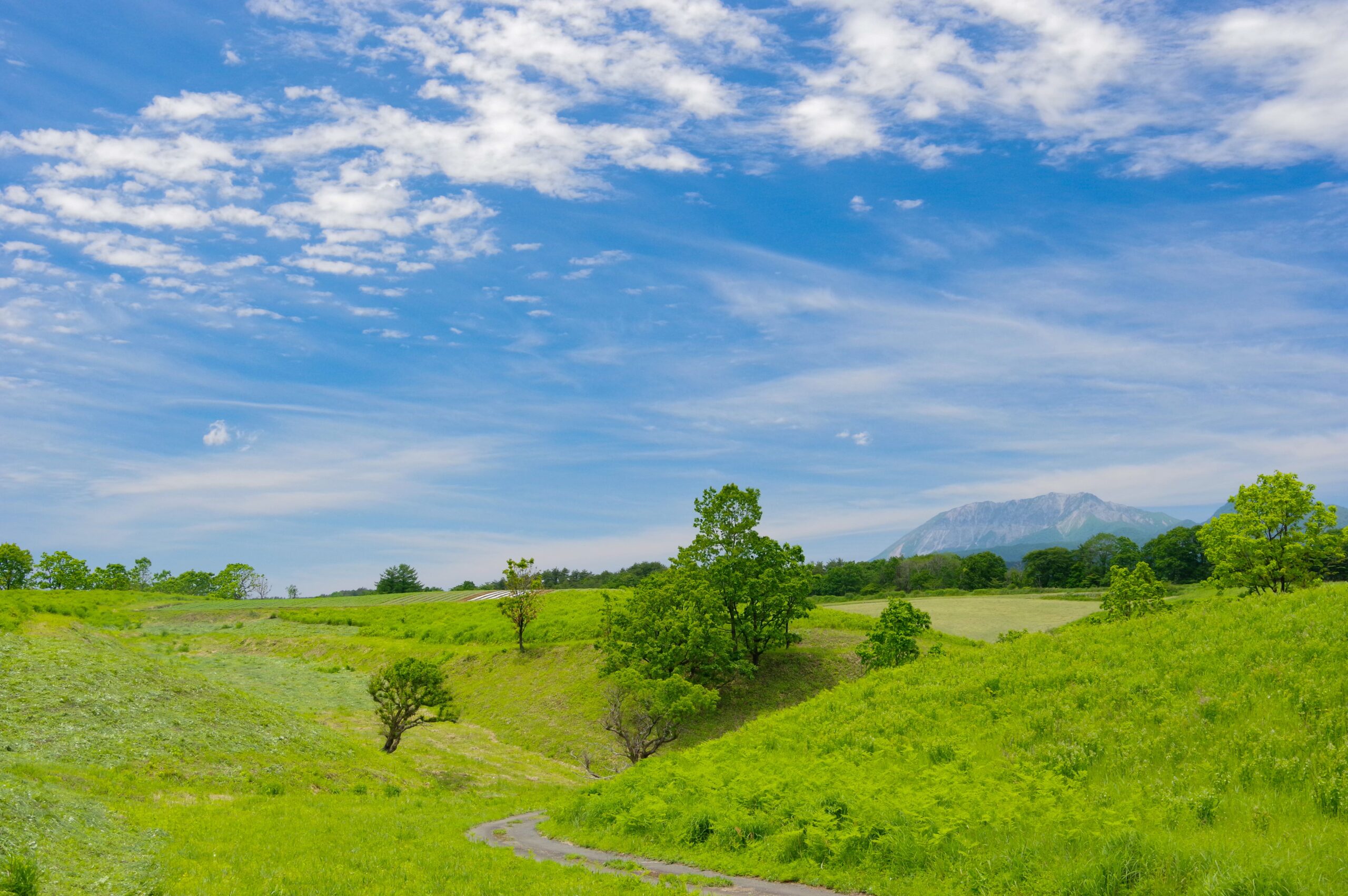 コース⑦蒜山の自然を守るお仕事
