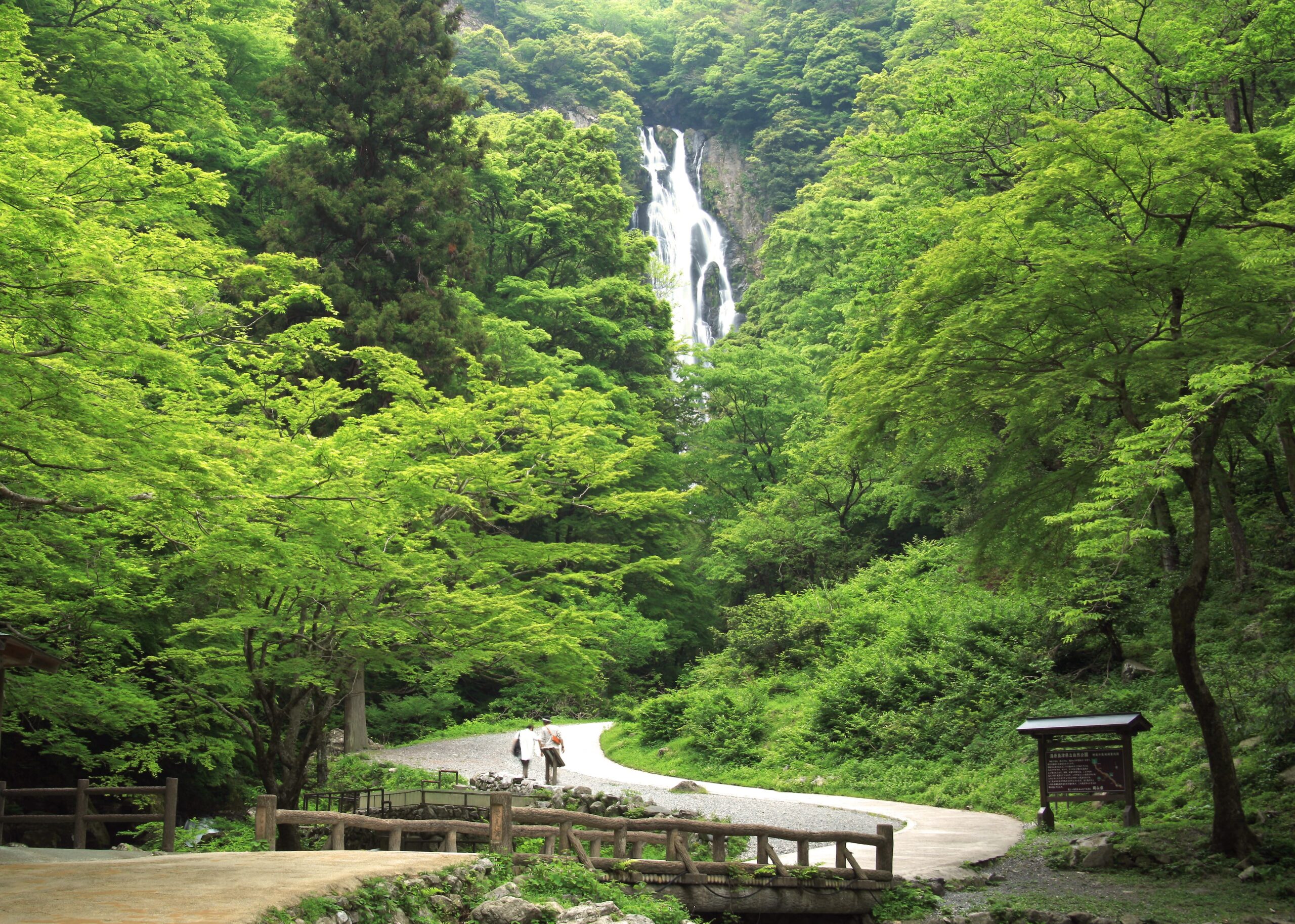 コース⑪オオサンショウウオと神庭の滝