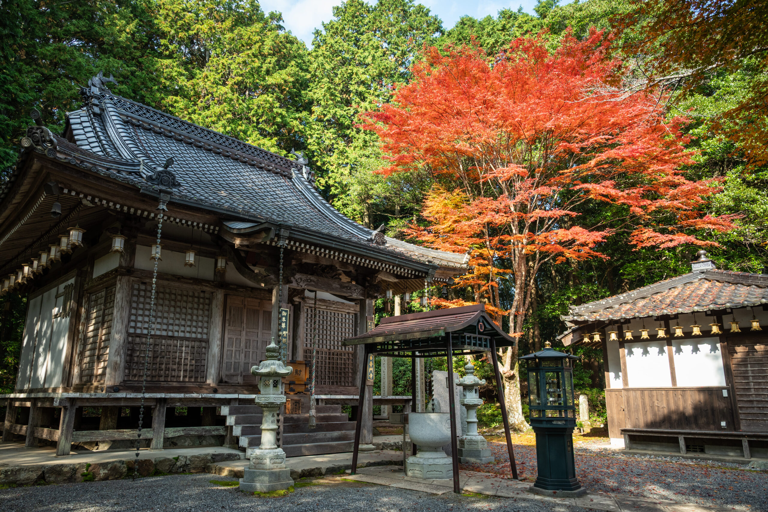 花の山寺 桜と紅葉まつり